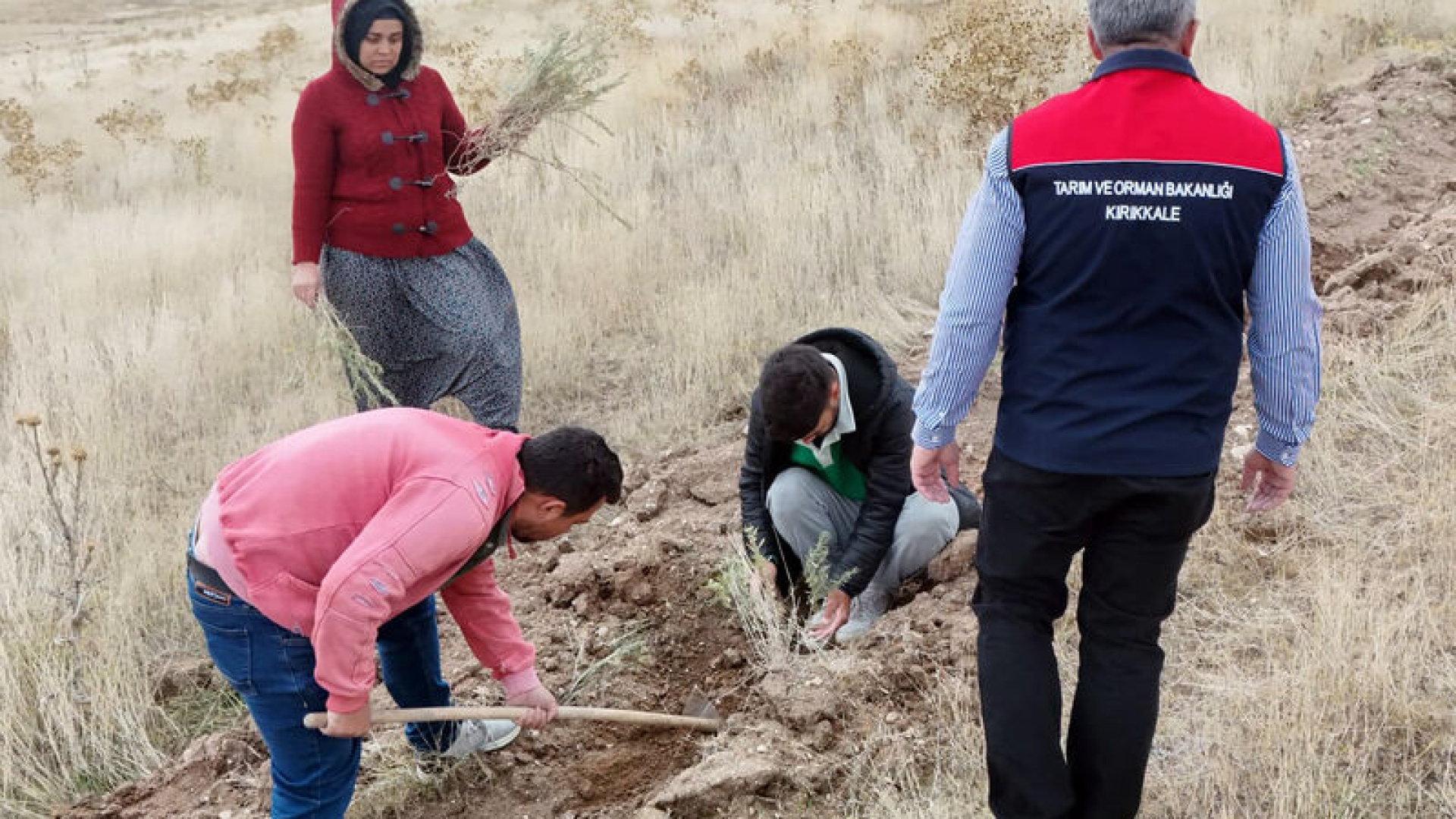 Kırıkkale'de 25 bin tuz çalısı fidanı dikiliyor