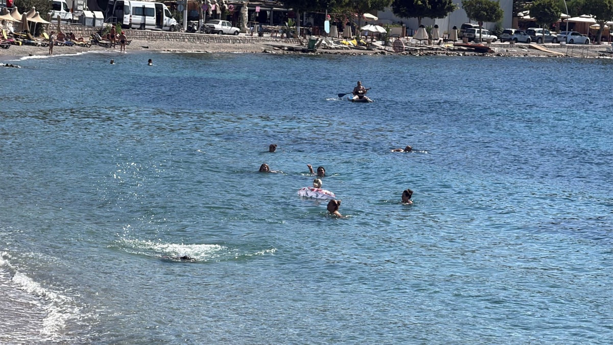 Muğla Bodrum'da deniz keyfi sürüyor