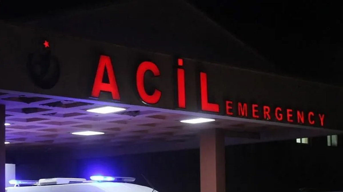 Sivas'ta ayı saldırısına uğrayan şahıs yaralandı