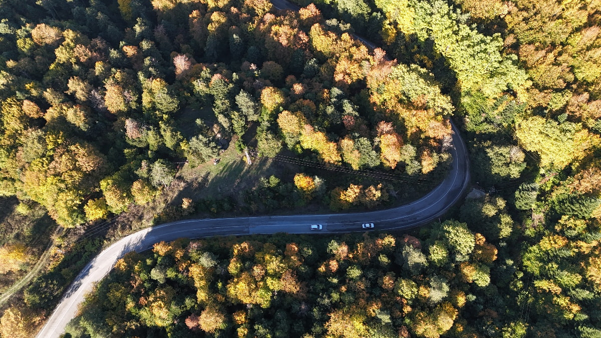 Bolu ormanlarında sonbahar renkleri
