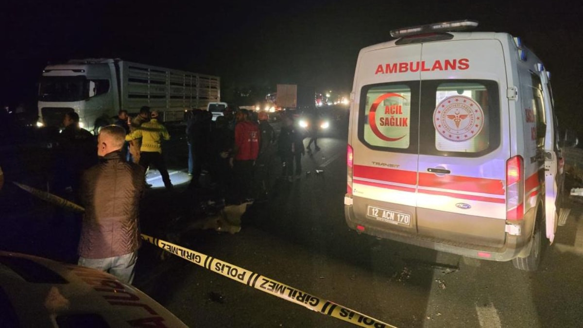 Bingöl'de bariyere çarpan otomobildeki 2 kişi öldü